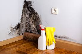 Best Mold Documentation for Insurance Claims  in Chillicothe, OH